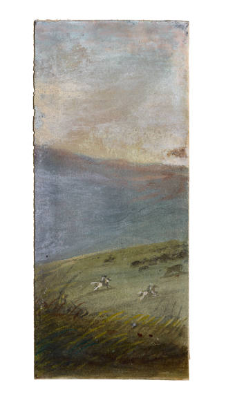 Chase by Pawnee Indians