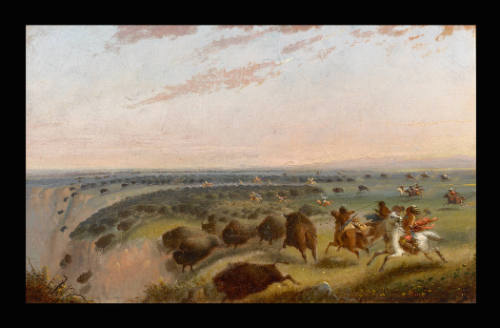 Buffalo Hunting