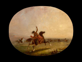 Lassoing Wild Horses