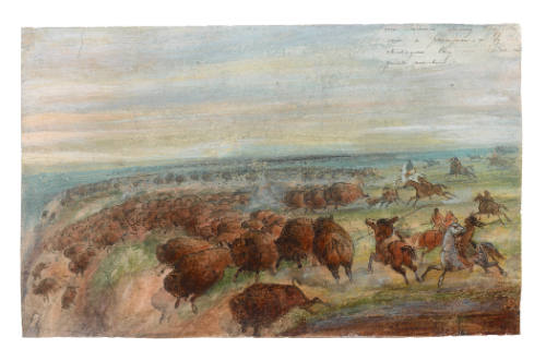 Buffalo Hunting