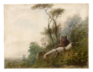 Haunt of the Grizzly Bear