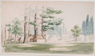 Nisqually, A Village on Puget Sound
