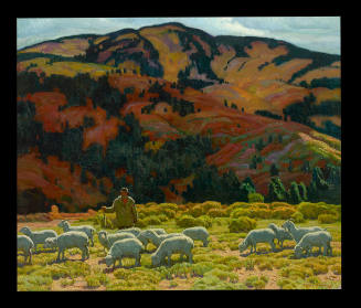 The Grazing Sheep