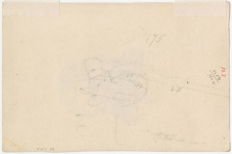 Sketch of ram's head