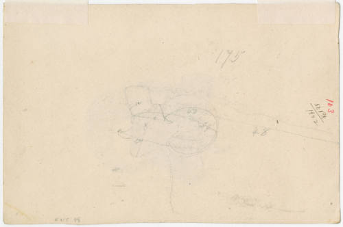 Sketch of ram's head
