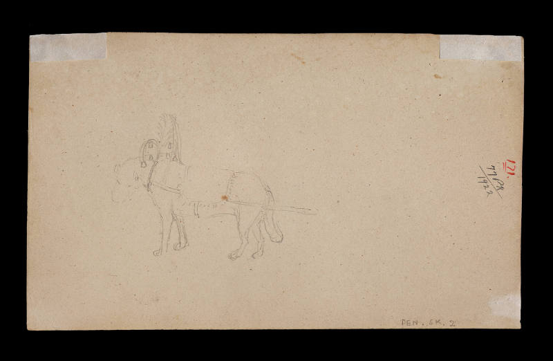 Sketch of decorated dog