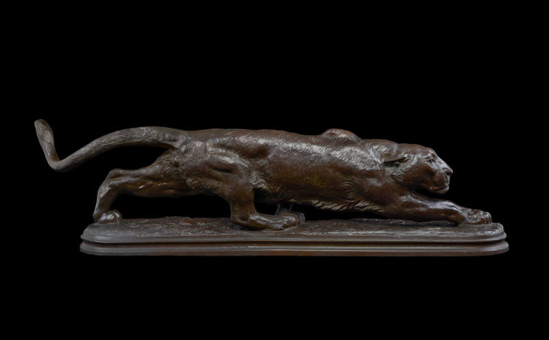 Panther