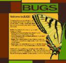 Big Bugs: David Rogers Deconstructed, Insects Deconstructed, Buggin’ Out Juried Student Art Exhibition