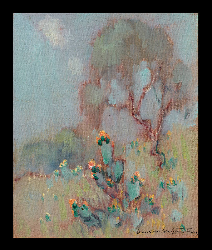 Hazy Day