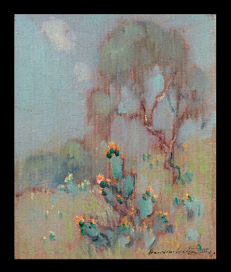 Hazy Day