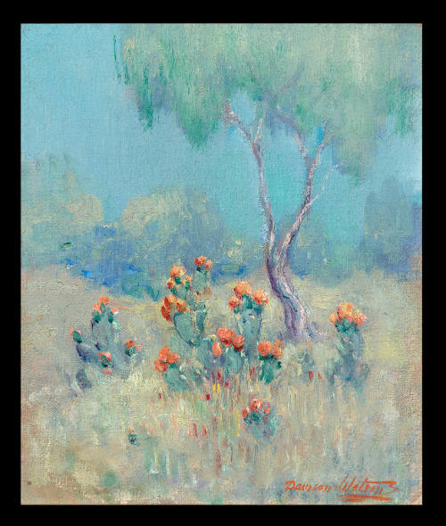 Landscape, Cactus in Bloom