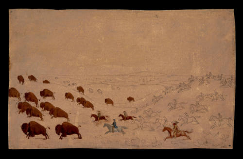 Metis Chasing the Main Buffalo Herd
