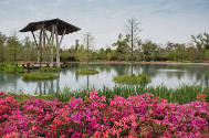 Pond of the Blue Moon, Shangri La, Orange, Texas