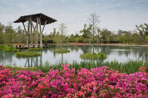 Pond of the Blue Moon, Shangri La, Orange, Texas