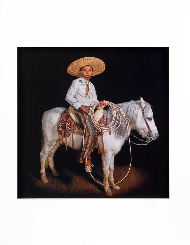 This image is color corrected to best resemble the actual art piece.