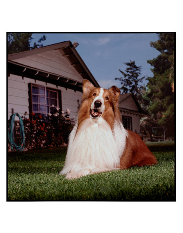 Copyright 1988 Bonnie Schiffman