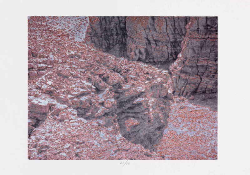 Copyright 1981 Todd Walker