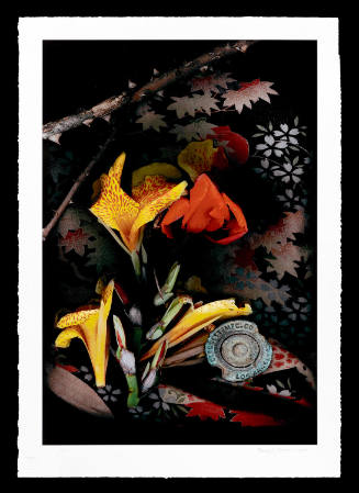 Copyright 1995 Daryl Curran