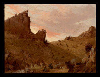View in the Sierra Mimbres