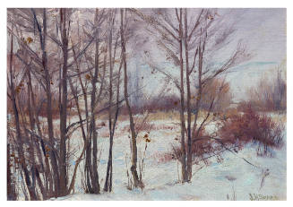 The Winter Screen
