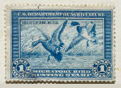 Conservation Art: Federal Duck Stamps & Prints