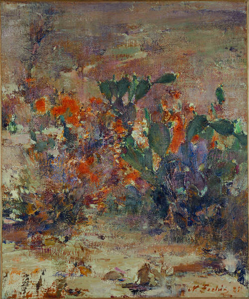 Cactus