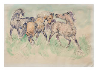 Horses