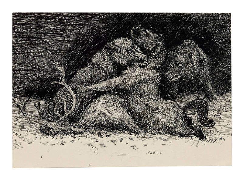 Grizzlies Fighting over Stag