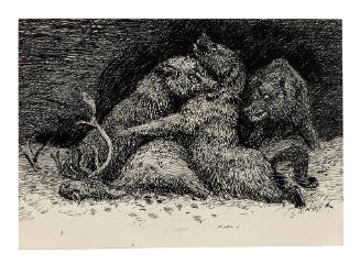 Grizzlies Fighting over Stag