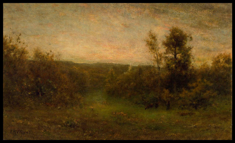 A Summer Evening