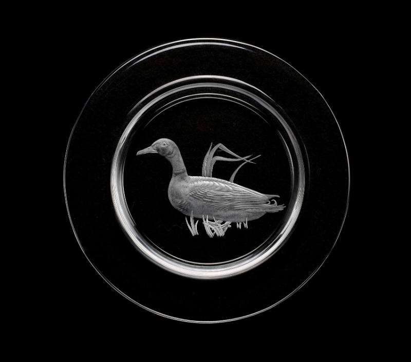 Audubon Plate, Mallard Duck