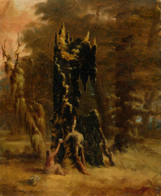 Well in the Woods