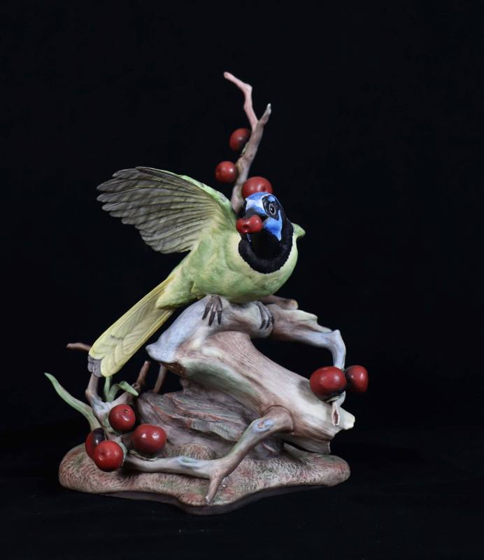 Green Jay with Black Persimmon