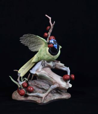 Green Jay with Black Persimmon