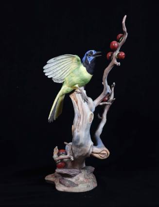 Green Jay with Black Persimmon