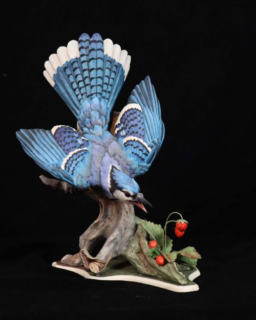 Blue Jay with Strawberries