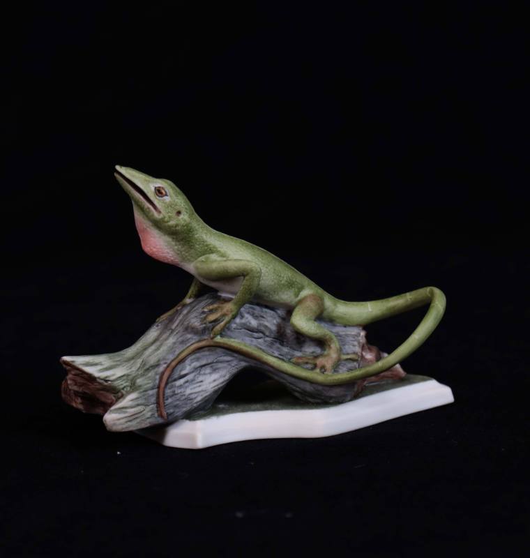 Chameleon
