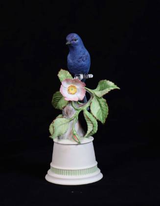 Indigo Bunting on Wild Rose