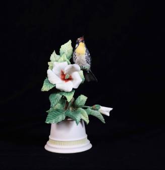 Yellow-Throated Warbler on Crimson-Eye Mallow