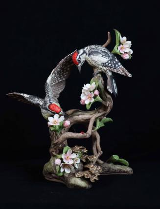 Yellow-Bellied Sapsuckers on Wild Apple Blossom
