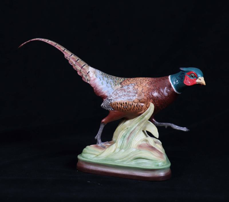 Ring-Necked Pheasants