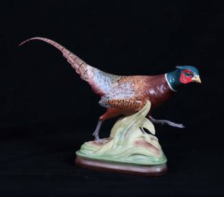 Ring-Necked Pheasants