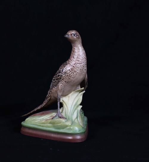 Ring-Necked Pheasants