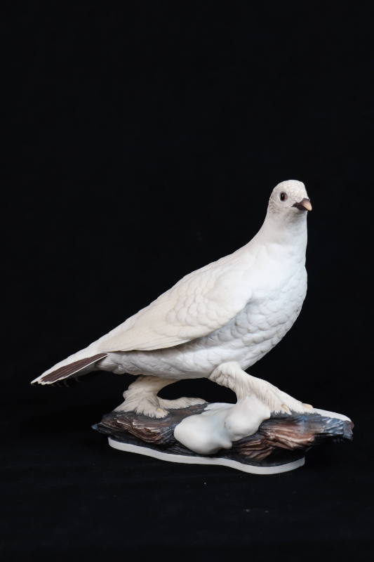 Ptarmigan