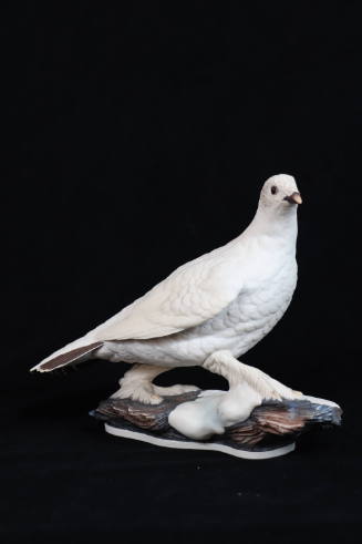 Ptarmigan