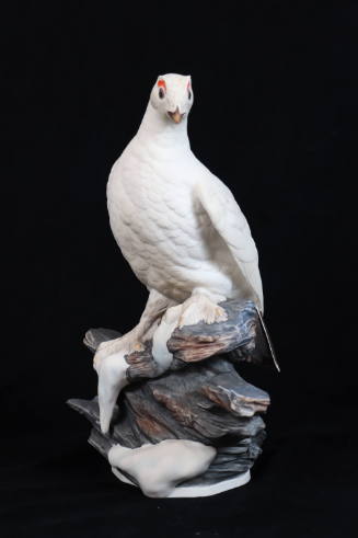 Ptarmigan