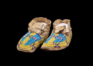 Moccasin