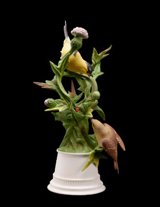 Goldfinches with Scottish Thistle