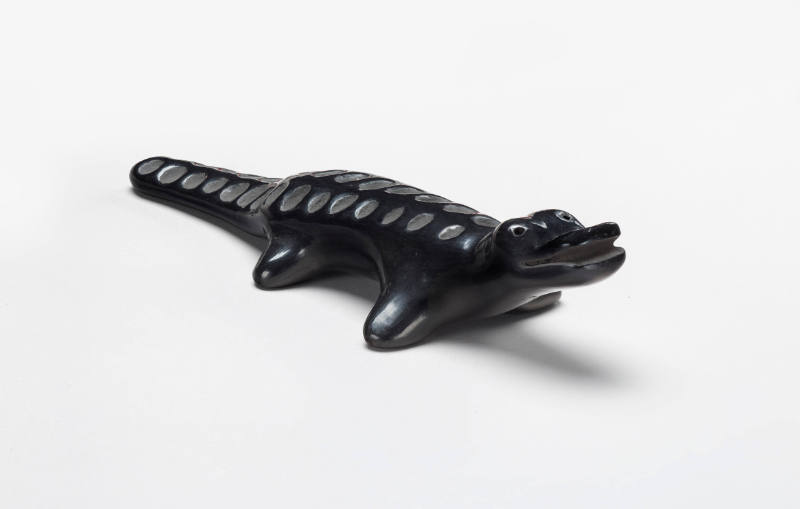 Alligator