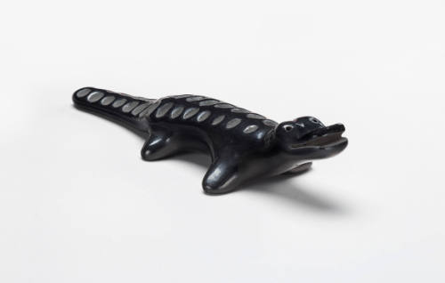 Alligator